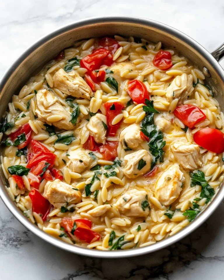 Photo of featured for Creamy One-Pan Chicken Orzo Delight